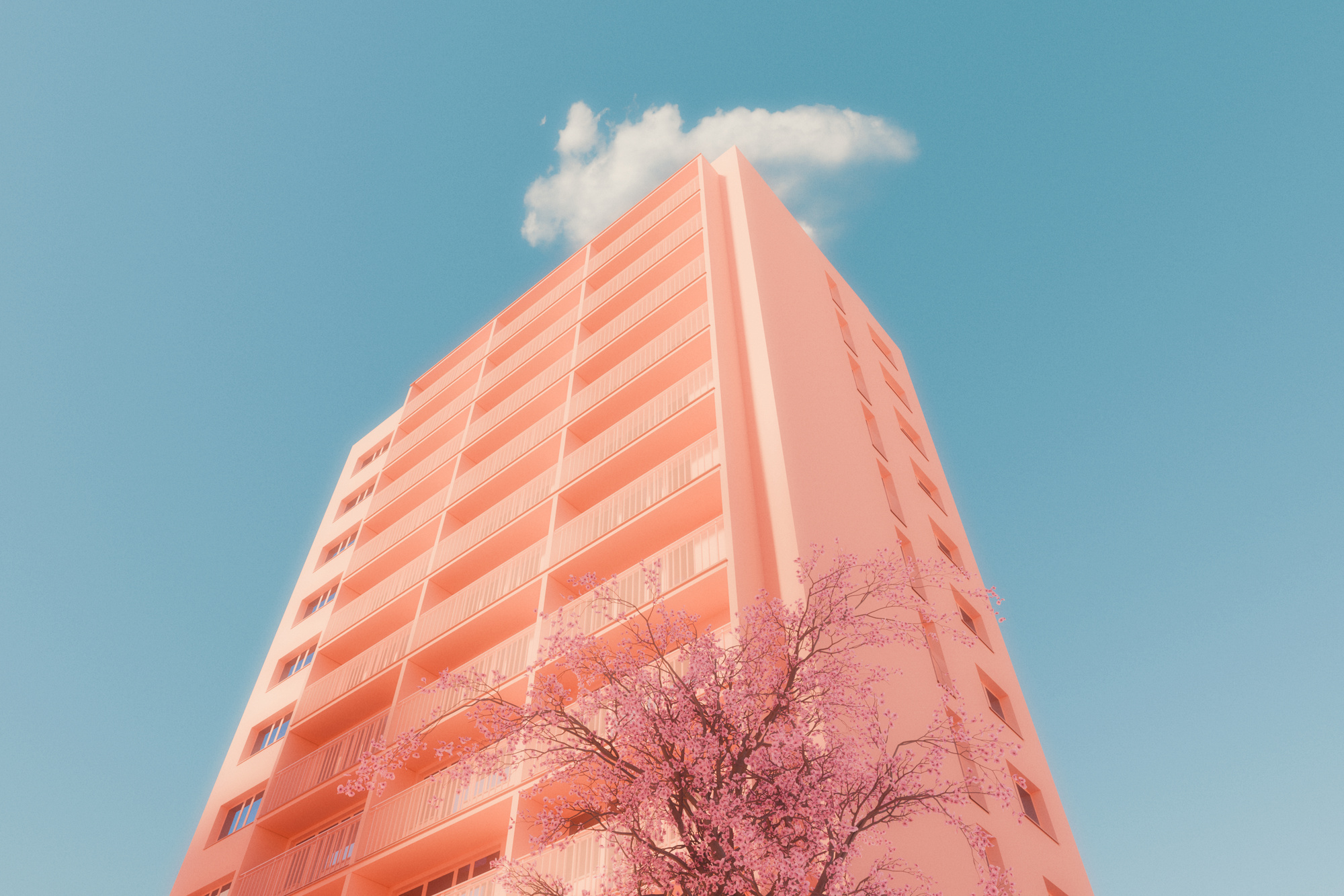 A Warsaw Daydream — photograph 04