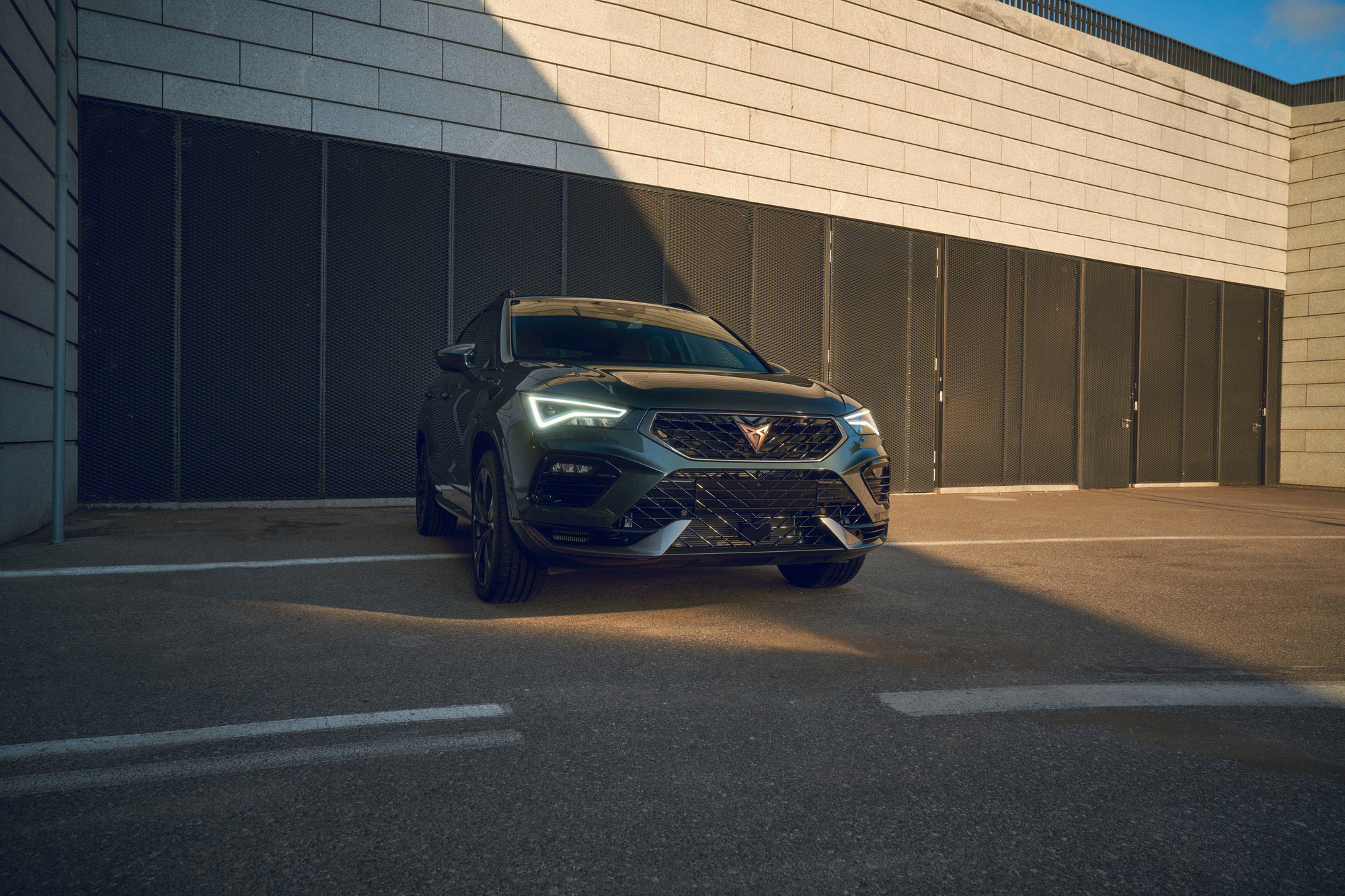 Cupra — photograph 11